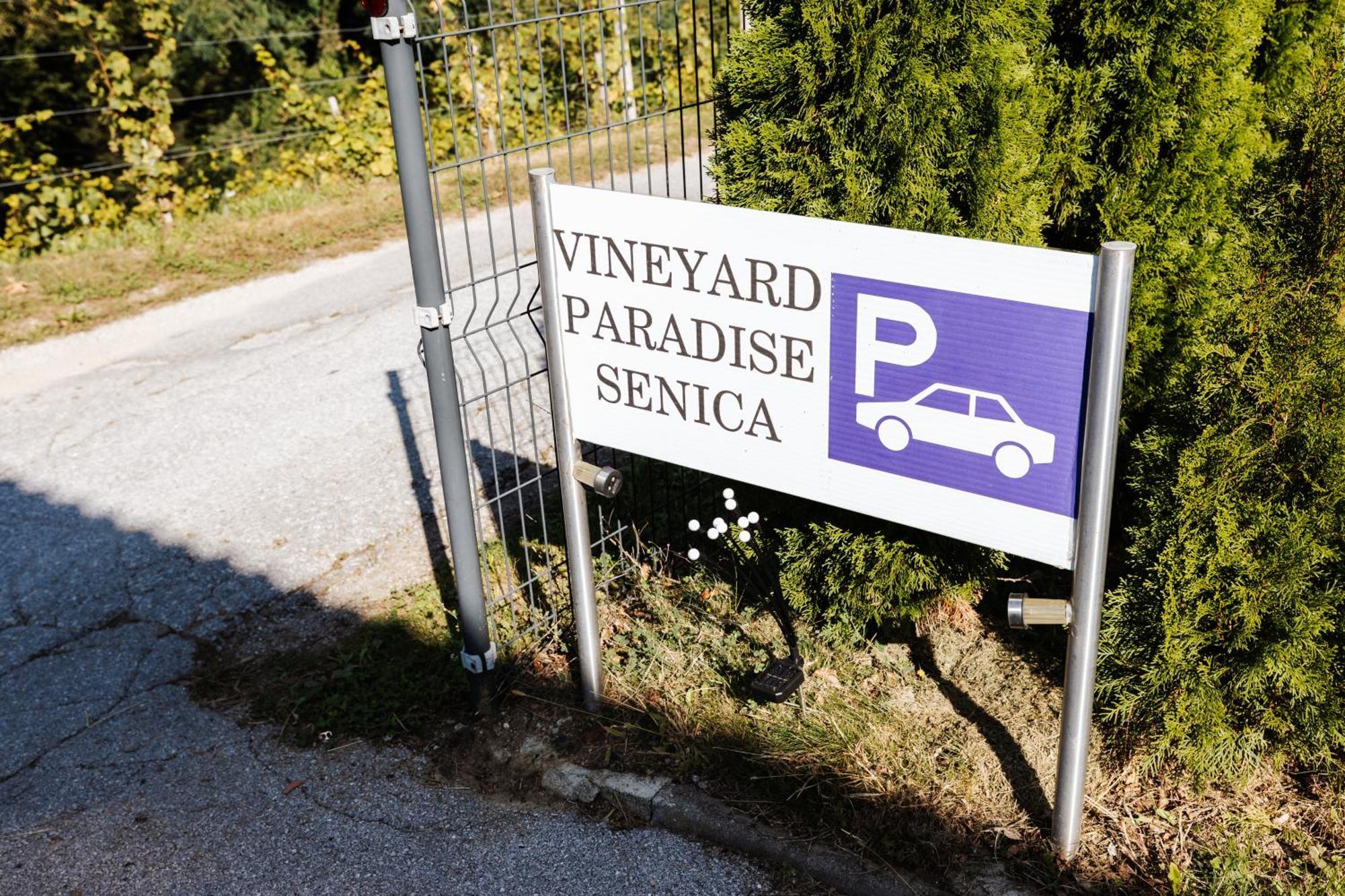 Vineyard Paradise Senica Dramlje Екстер'єр фото