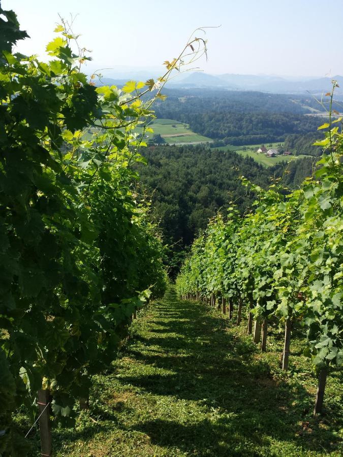 Vineyard Paradise Senica Dramlje Екстер'єр фото